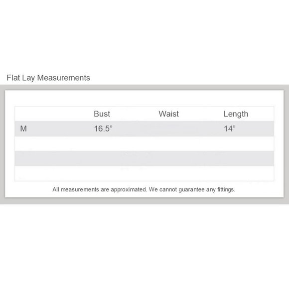 Sexy Mesh Inset Crop Top - Picture 2 of 10